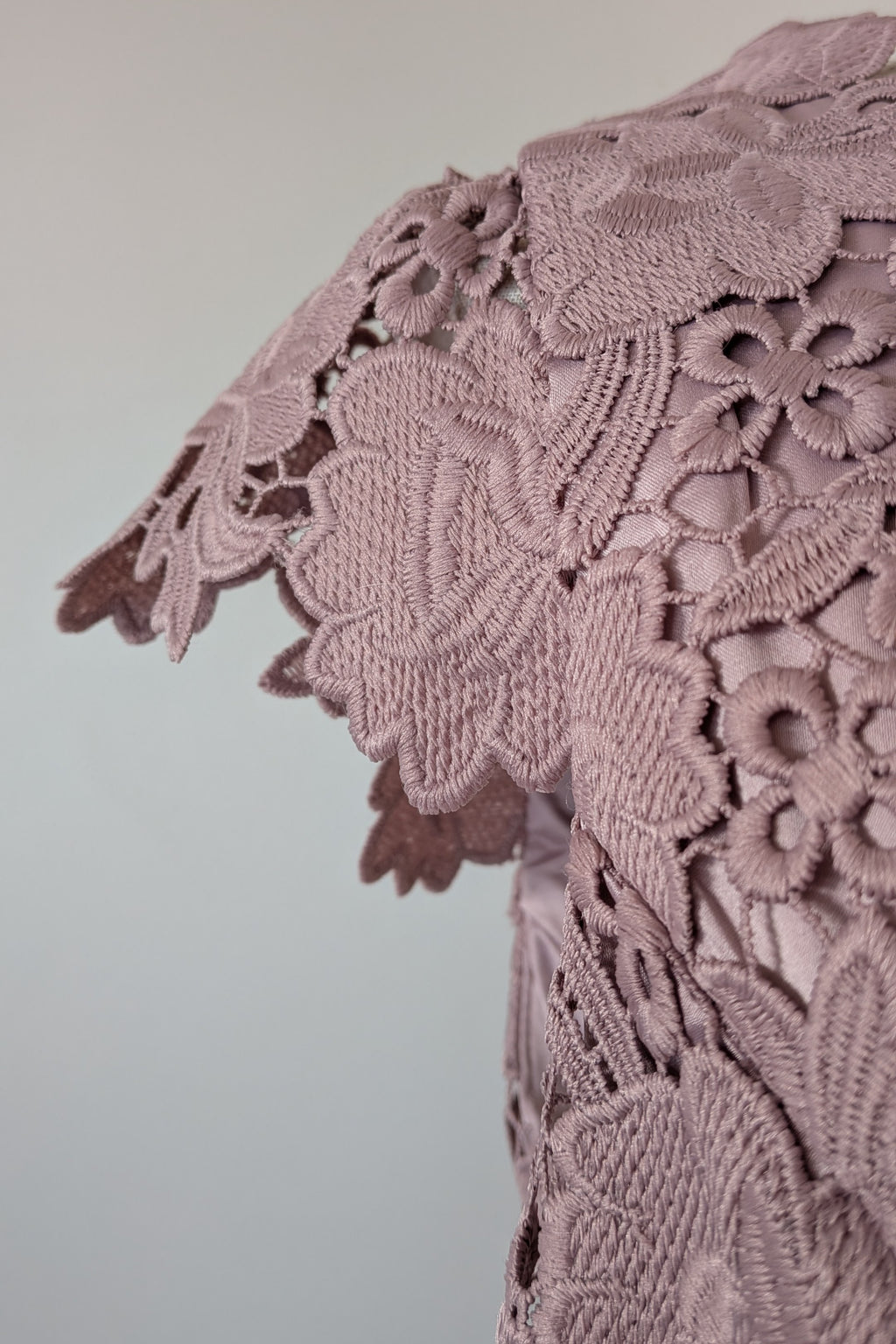 Review Dusty Pink Lace Dress Size 12