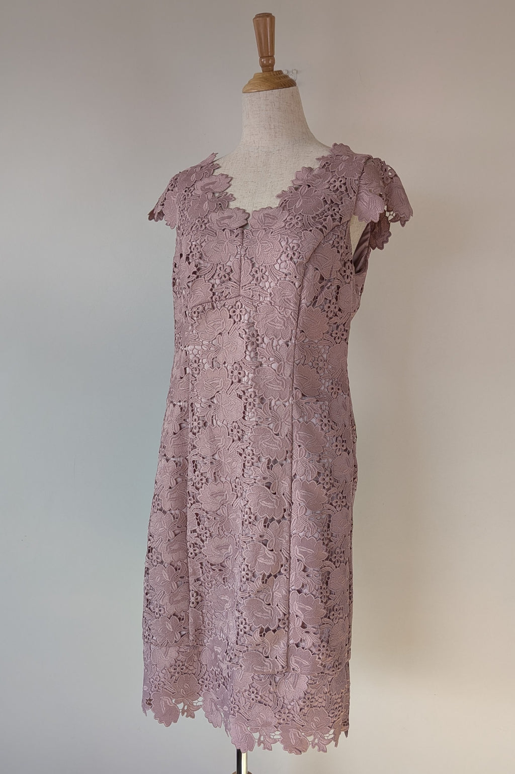 Review Dusty Pink Lace Dress Size 12