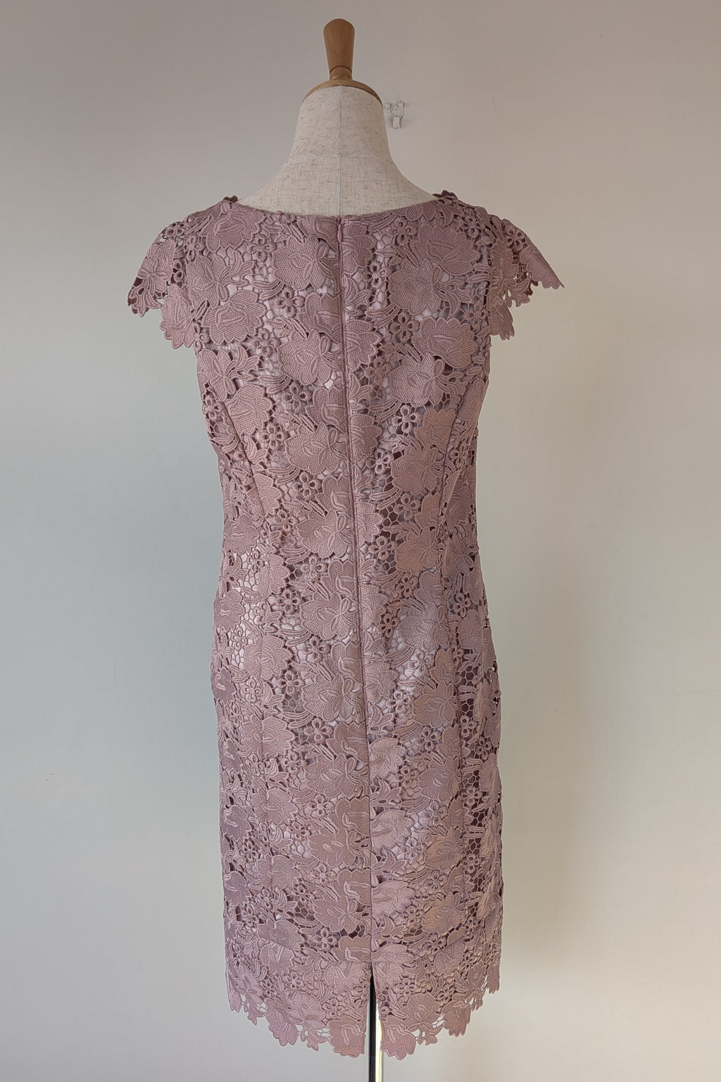 Review Dusty Pink Lace Dress Size 12