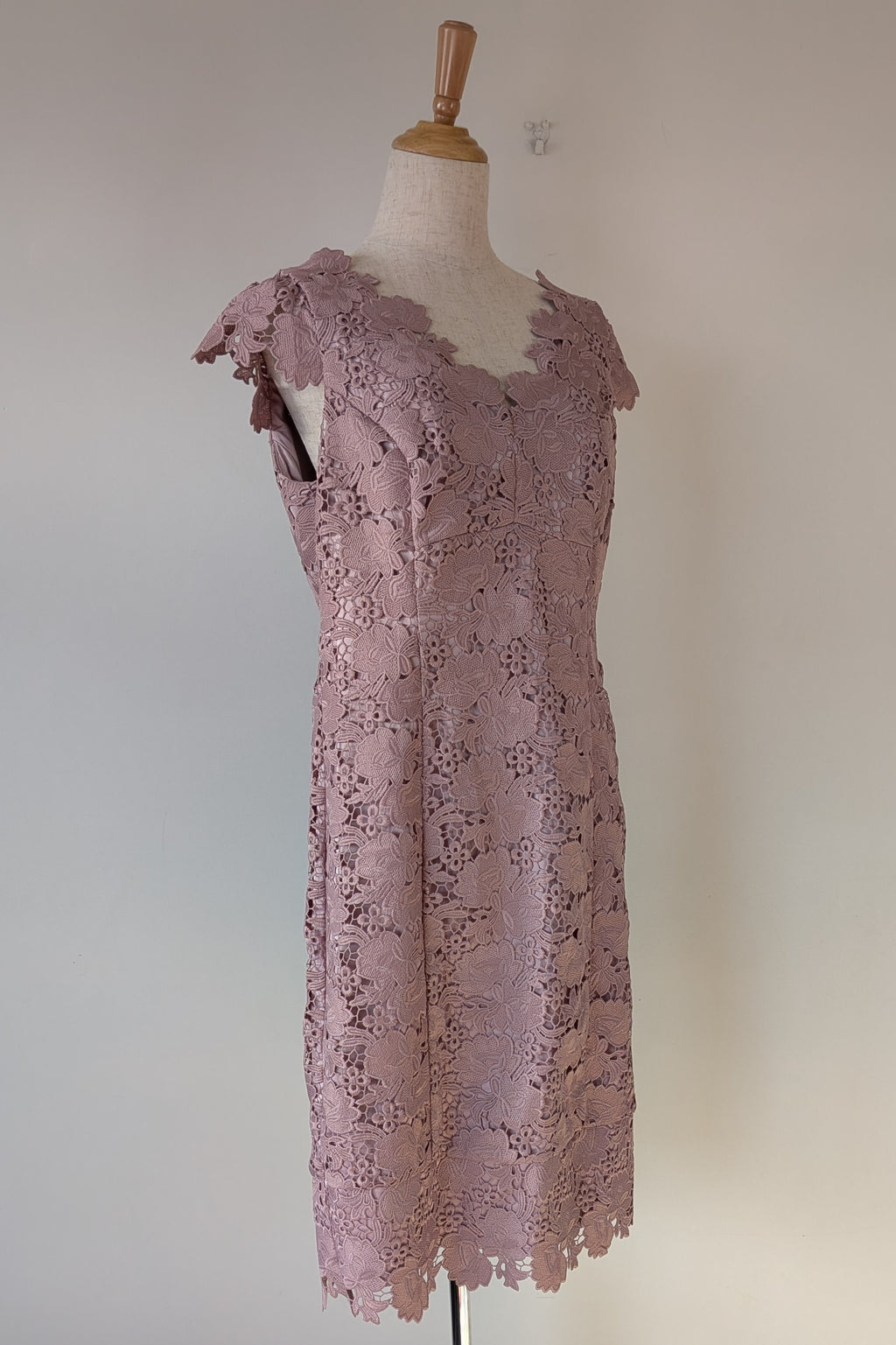 Review Dusty Pink Lace Dress Size 12