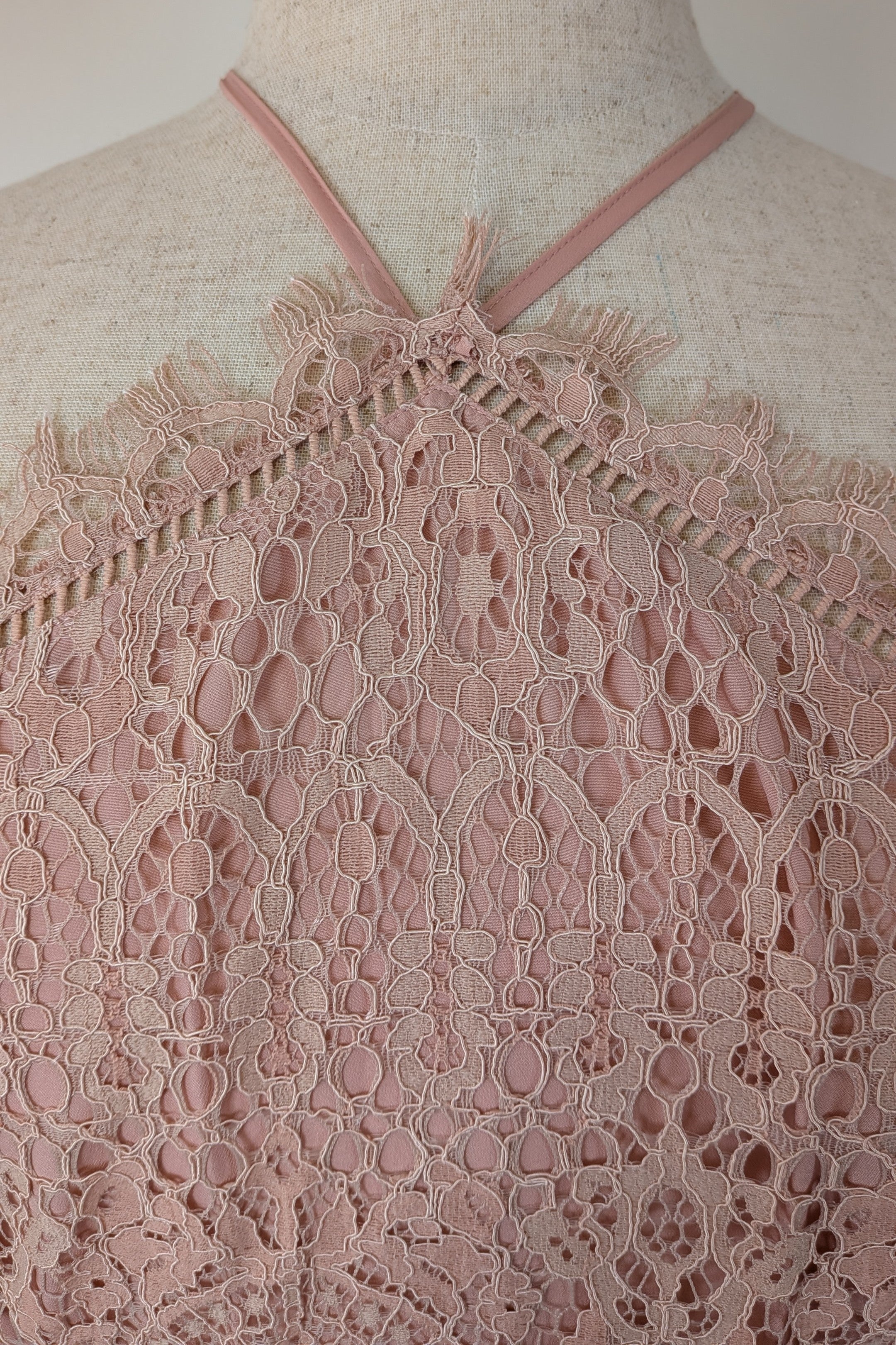 ASOS Lace Midi Dress with Pinny Bodice in Soft Blush Size 18 BNWT RRP $145