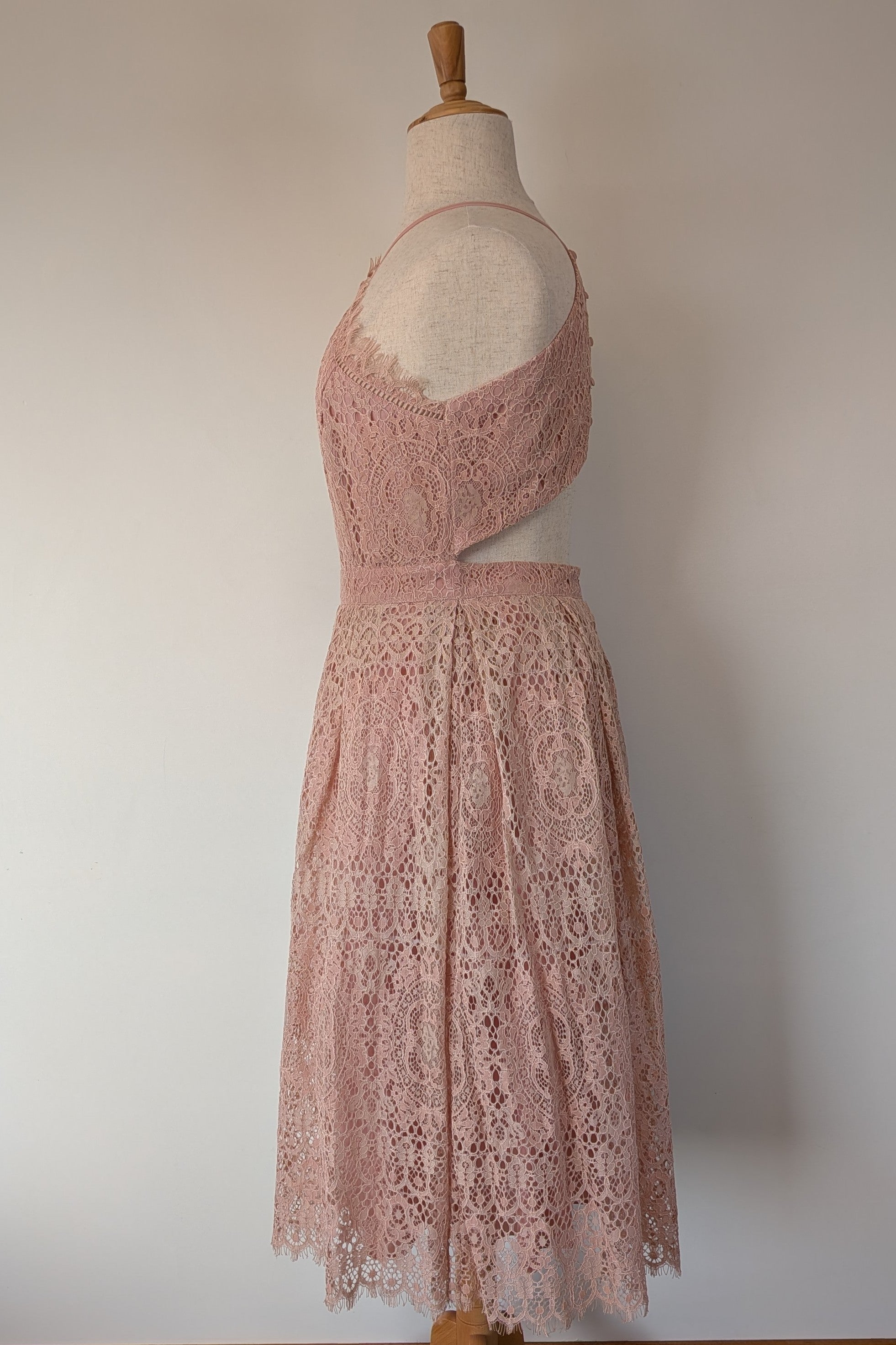 ASOS Lace Midi Dress with Pinny Bodice in Soft Blush Size 18 BNWT RRP $145