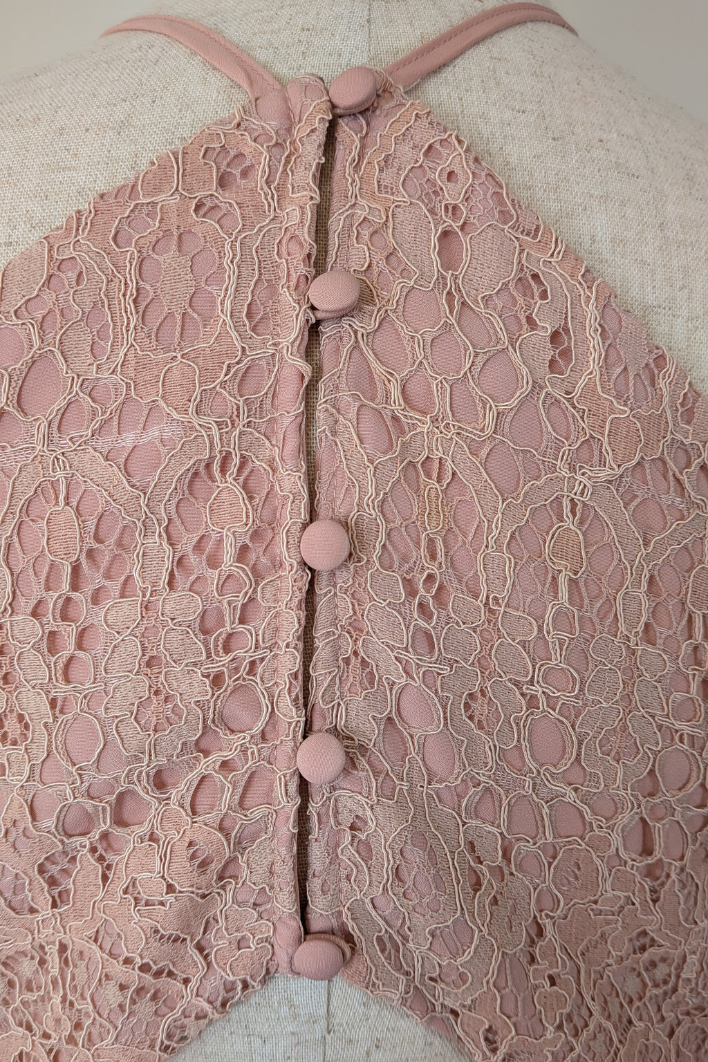 ASOS Lace Midi Dress with Pinny Bodice in Soft Blush Size 18 BNWT RRP $145