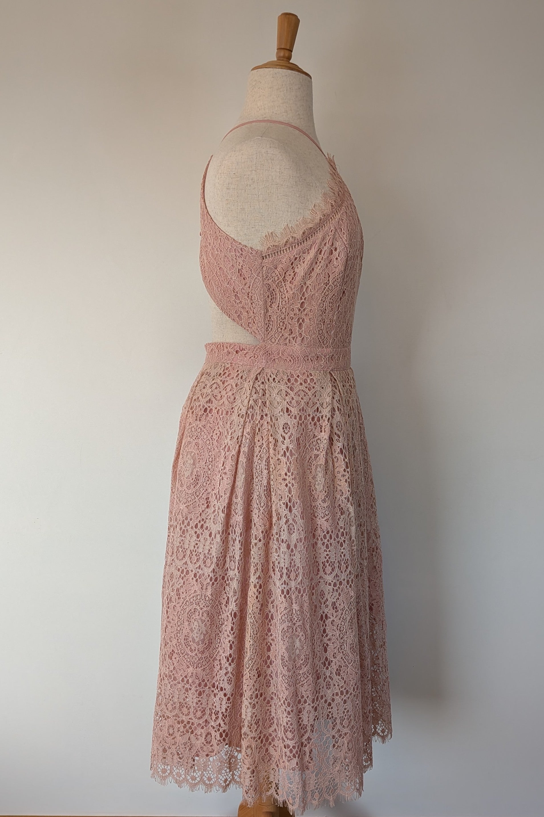 ASOS Lace Midi Dress with Pinny Bodice in Soft Blush Size 18 BNWT RRP $145