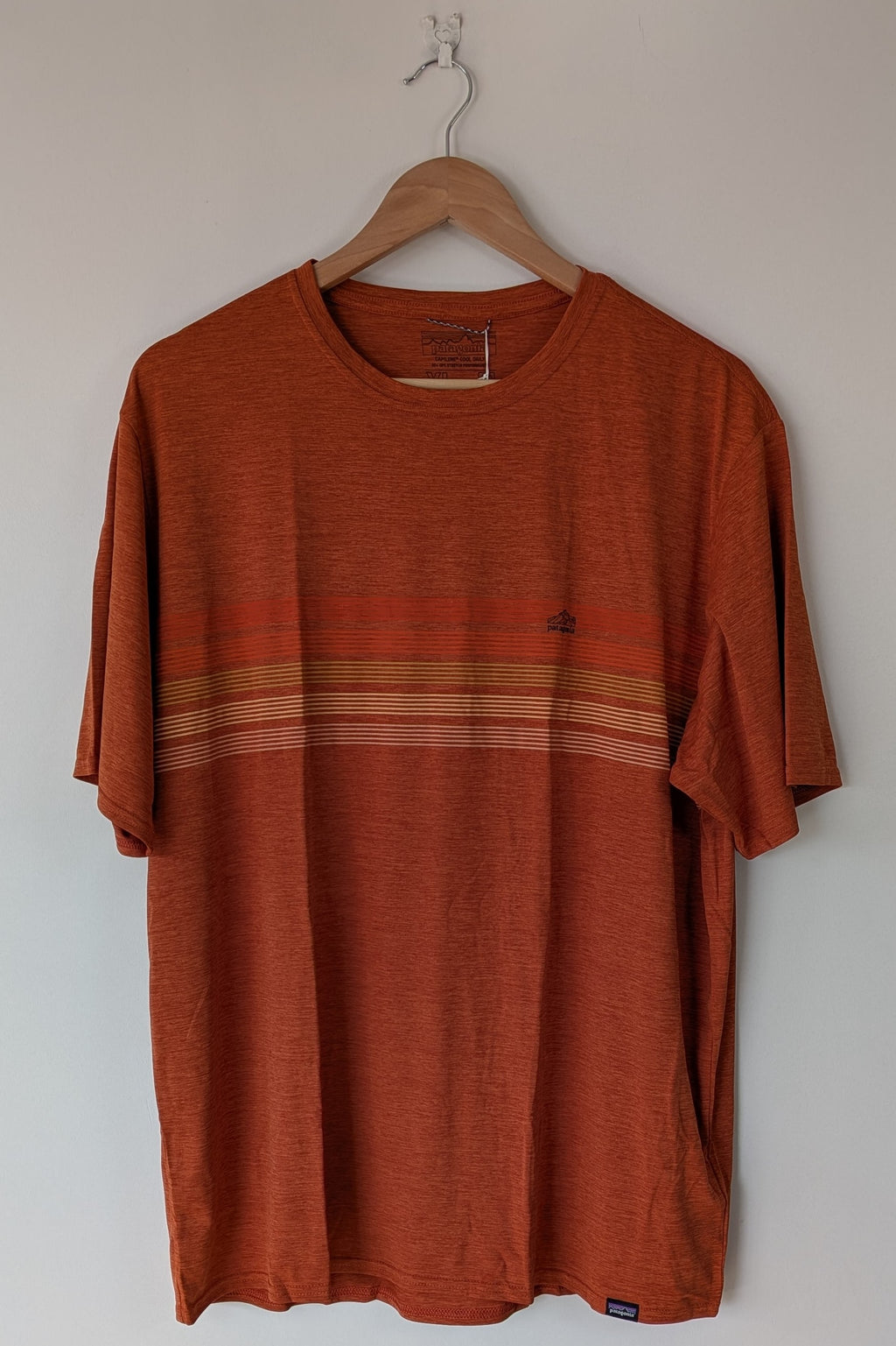 Patagonia Capilene Cool Graphic Shirt in Sandhill Rust BNWT RRP $79.95