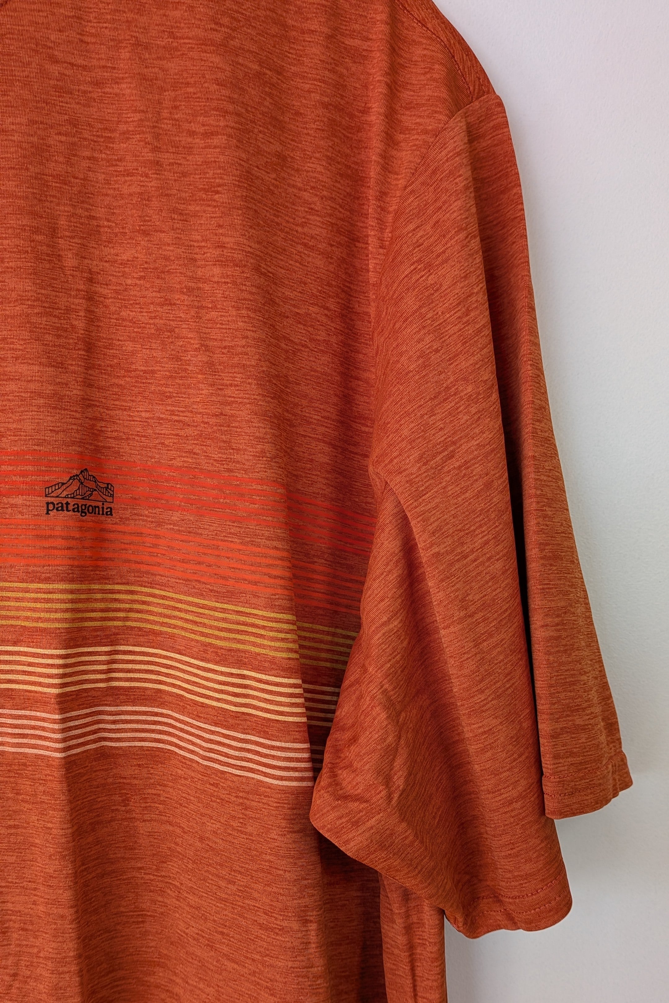 Patagonia Capilene Cool Graphic Shirt in Sandhill Rust BNWT RRP $79.95