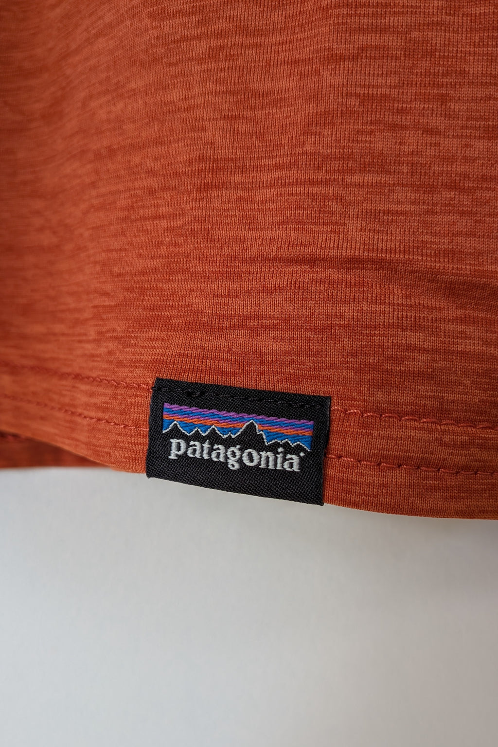 Patagonia Capilene Cool Graphic Shirt in Sandhill Rust BNWT RRP $79.95