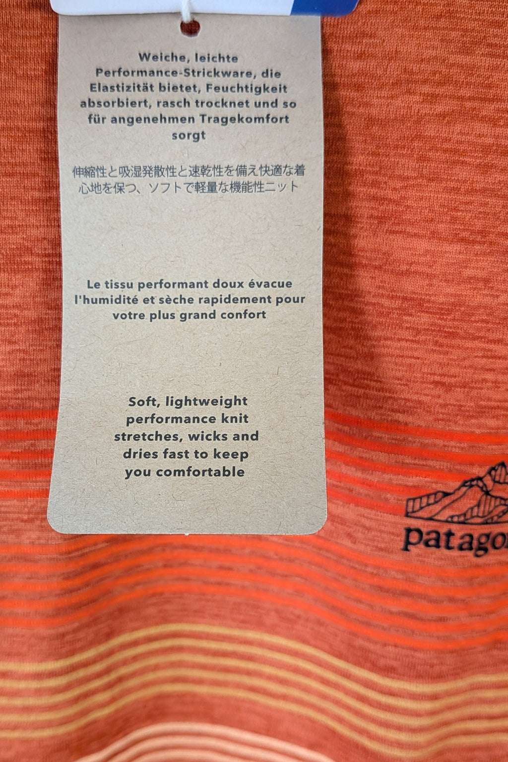 Patagonia Capilene Cool Graphic Shirt in Sandhill Rust BNWT RRP $79.95