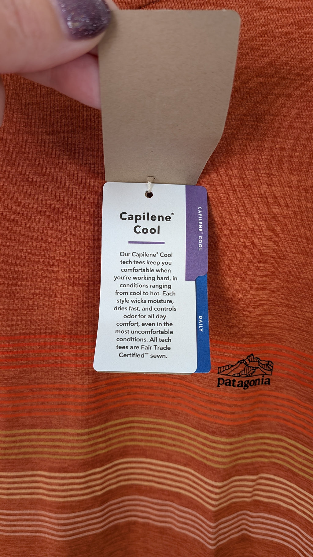 Patagonia Capilene Cool Graphic Shirt in Sandhill Rust BNWT RRP $79.95