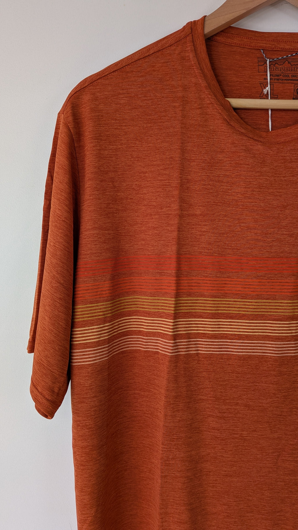 Patagonia Capilene Cool Graphic Shirt in Sandhill Rust BNWT RRP $79.95