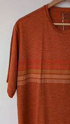 Patagonia Capilene Cool Graphic Shirt in Sandhill Rust BNWT RRP $79.95