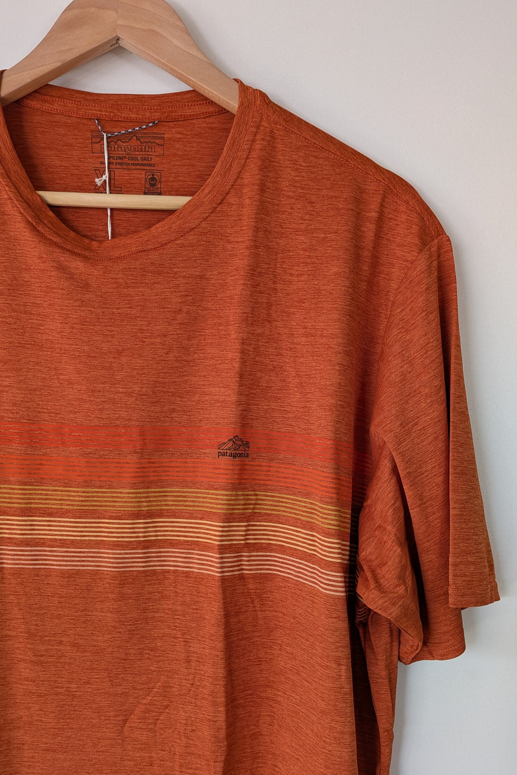 Patagonia Capilene Cool Graphic Shirt in Sandhill Rust BNWT RRP $79.95
