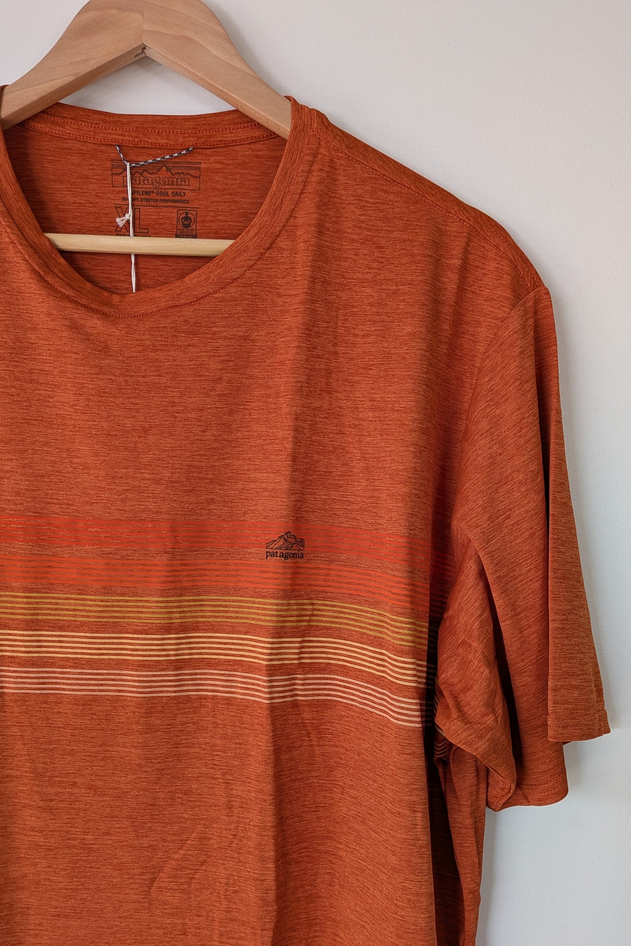 Patagonia Capilene Cool Graphic Shirt in Sandhill Rust BNWT RRP $79.95
