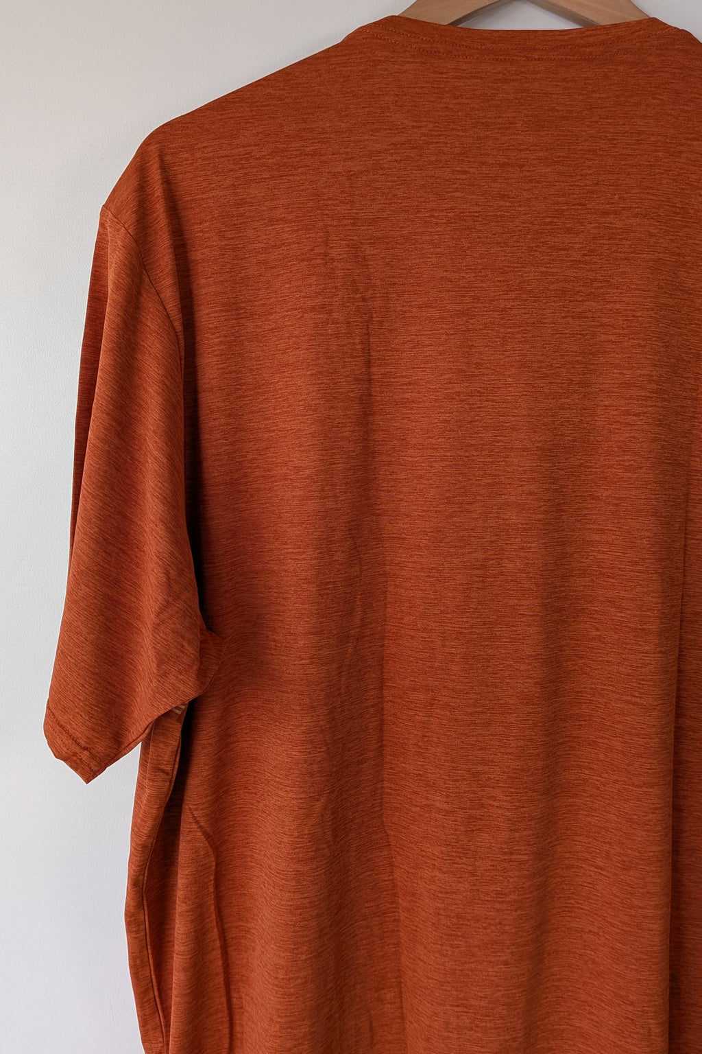 Patagonia Capilene Cool Graphic Shirt in Sandhill Rust BNWT RRP $79.95