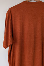 Patagonia Capilene Cool Graphic Shirt in Sandhill Rust BNWT RRP $79.95