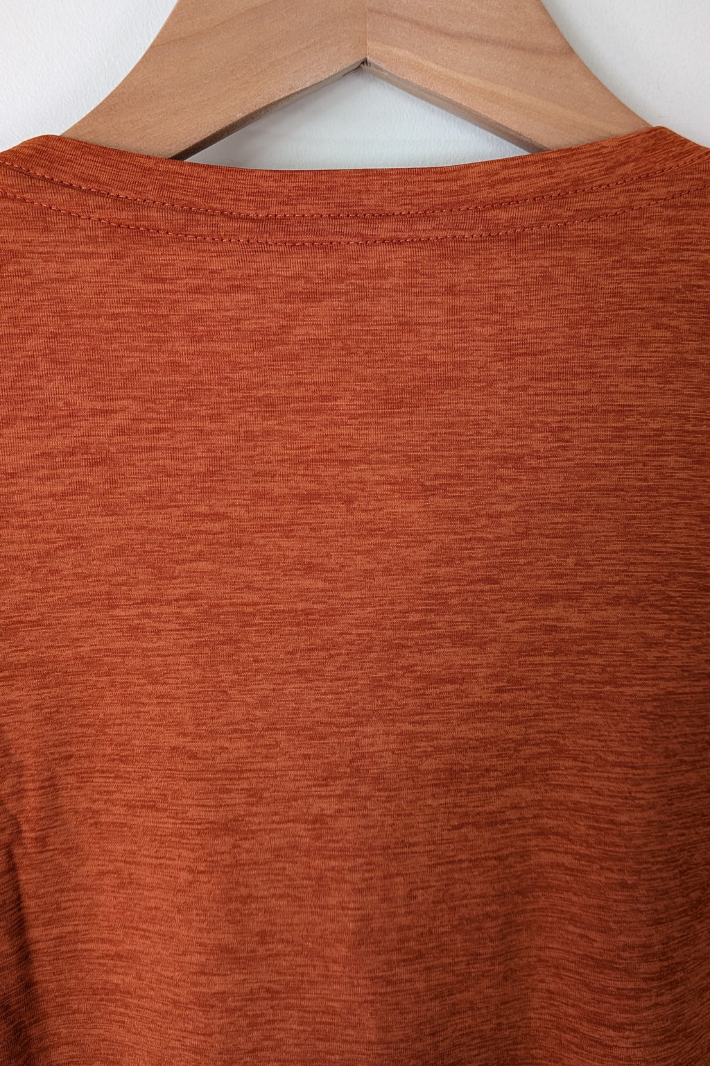 Patagonia Capilene Cool Graphic Shirt in Sandhill Rust BNWT RRP $79.95