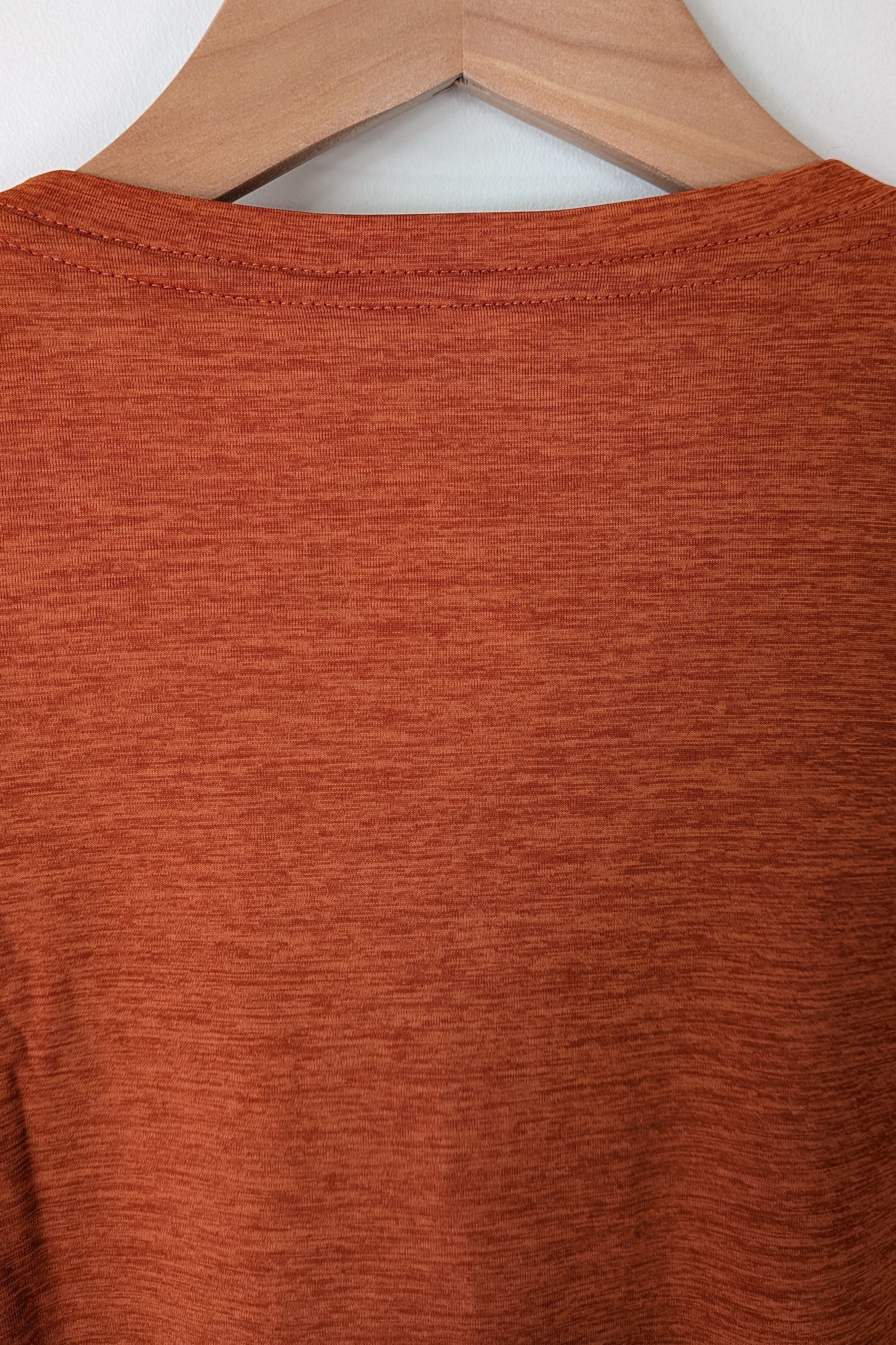 Patagonia Capilene Cool Graphic Shirt in Sandhill Rust BNWT RRP $79.95