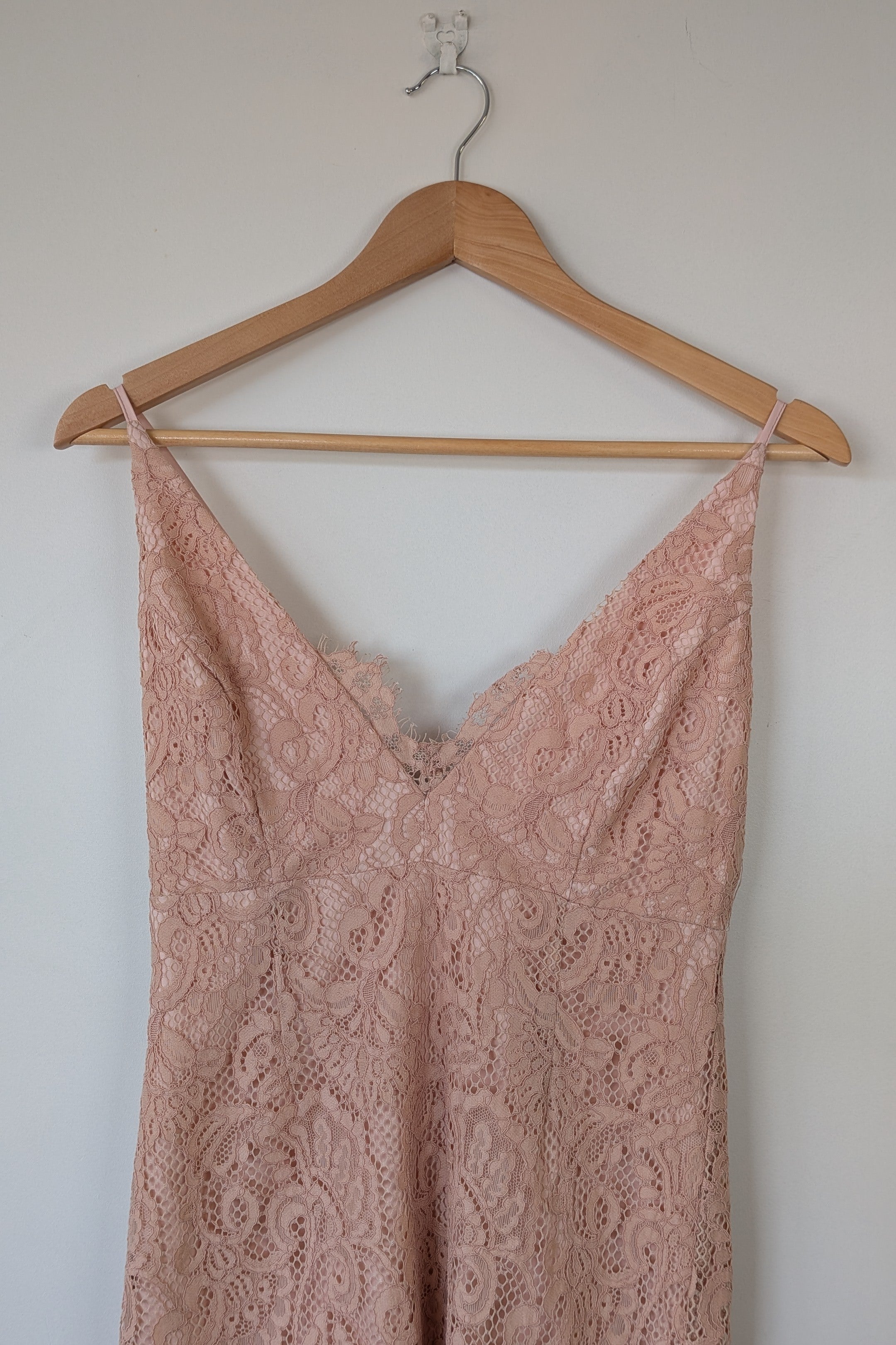 Bardot Rose Pencil Lace Dress Size XS Brand New With Tags