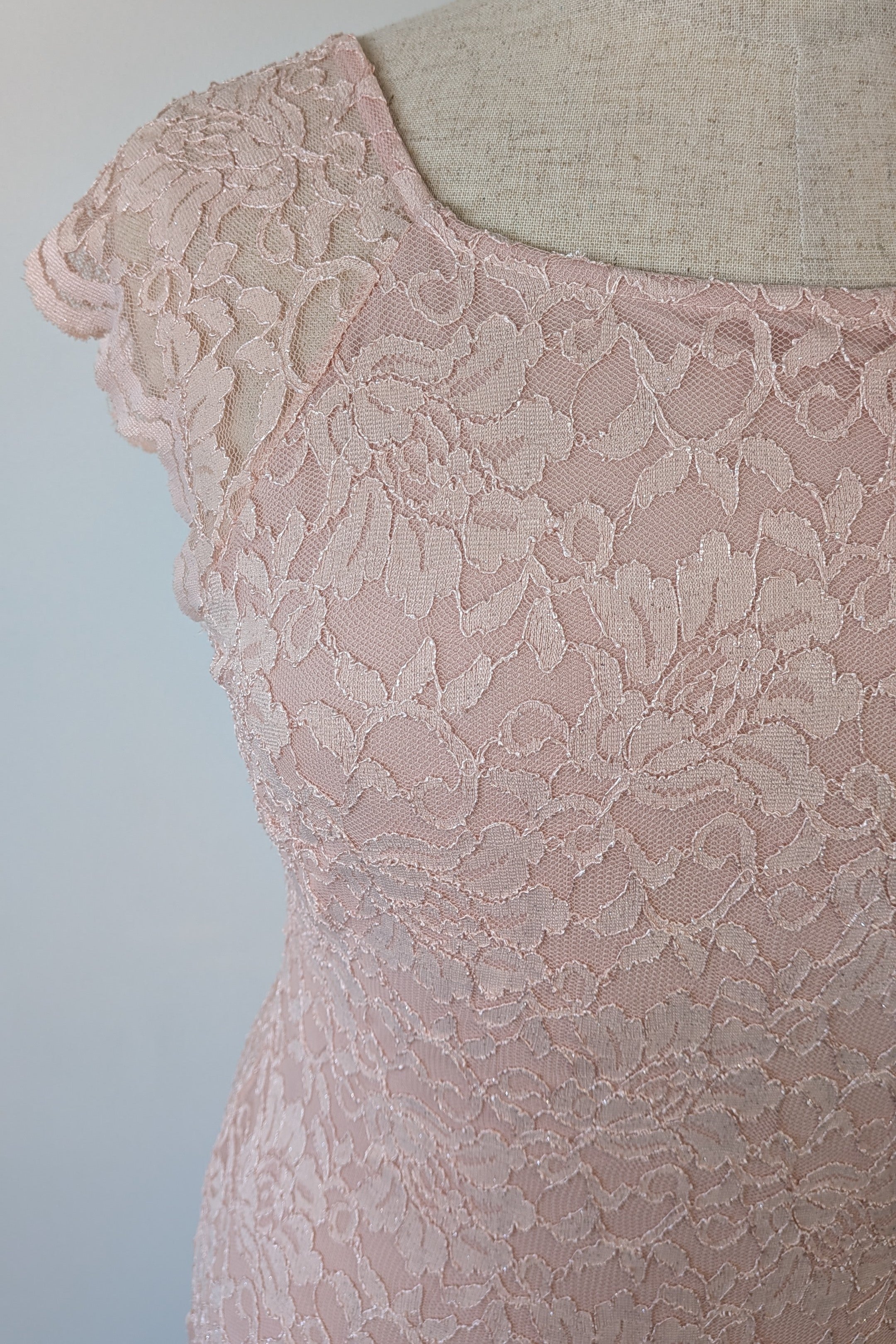 Liz Jordan Marielle Lace Blush Dress Size 16 Brand New With Tags RRP $249.99
