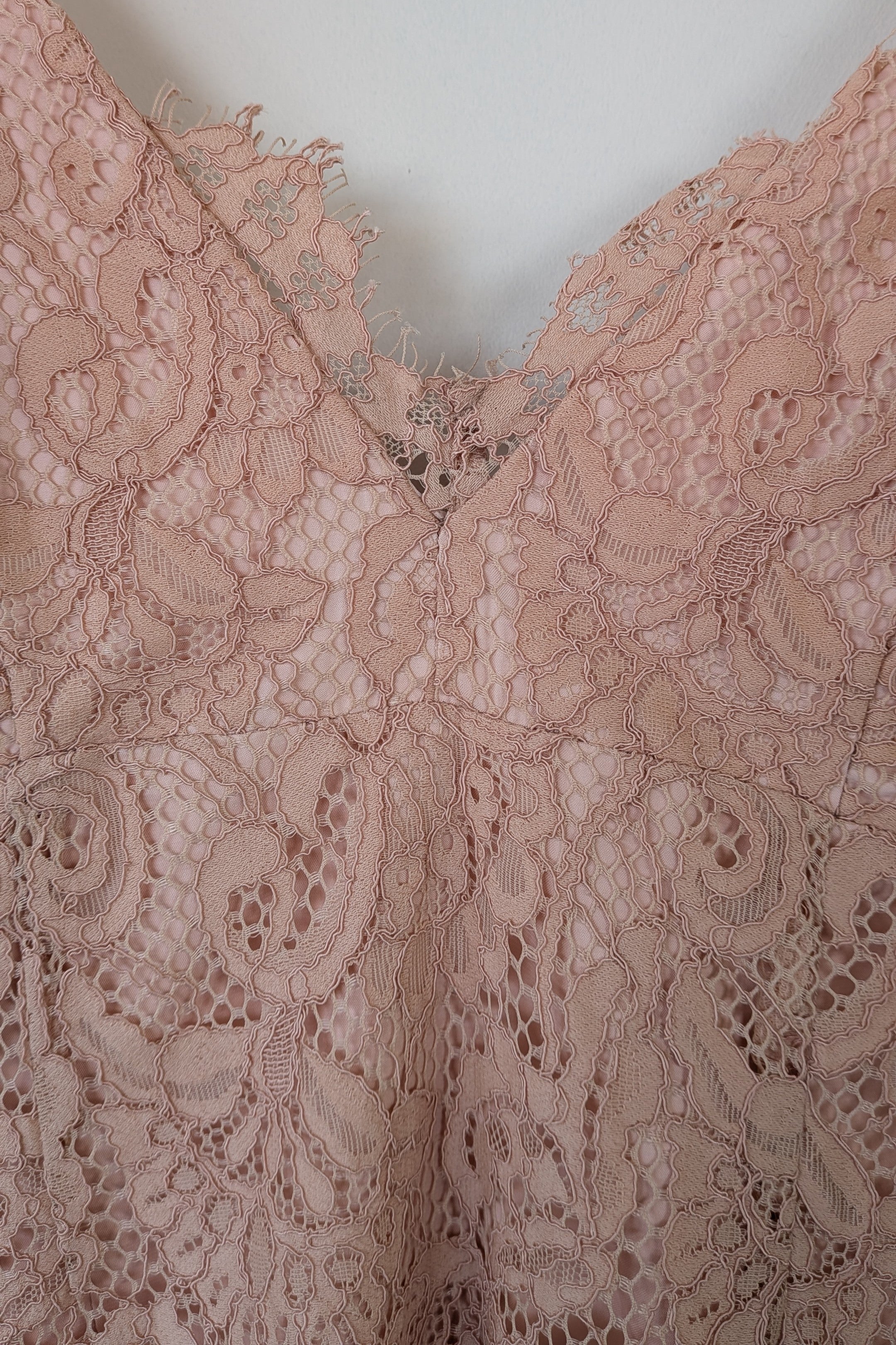 Bardot Rose Pencil Lace Dress Size XS Brand New With Tags