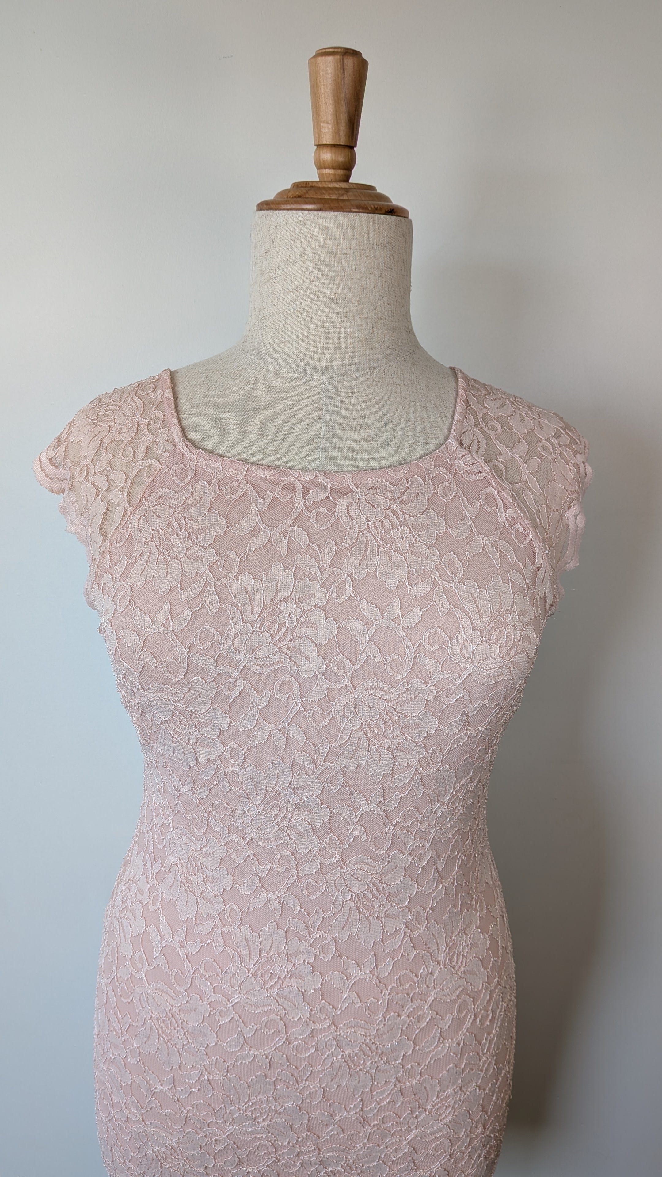 Liz Jordan Marielle Lace Blush Dress Size 16 Brand New With Tags RRP $249.99