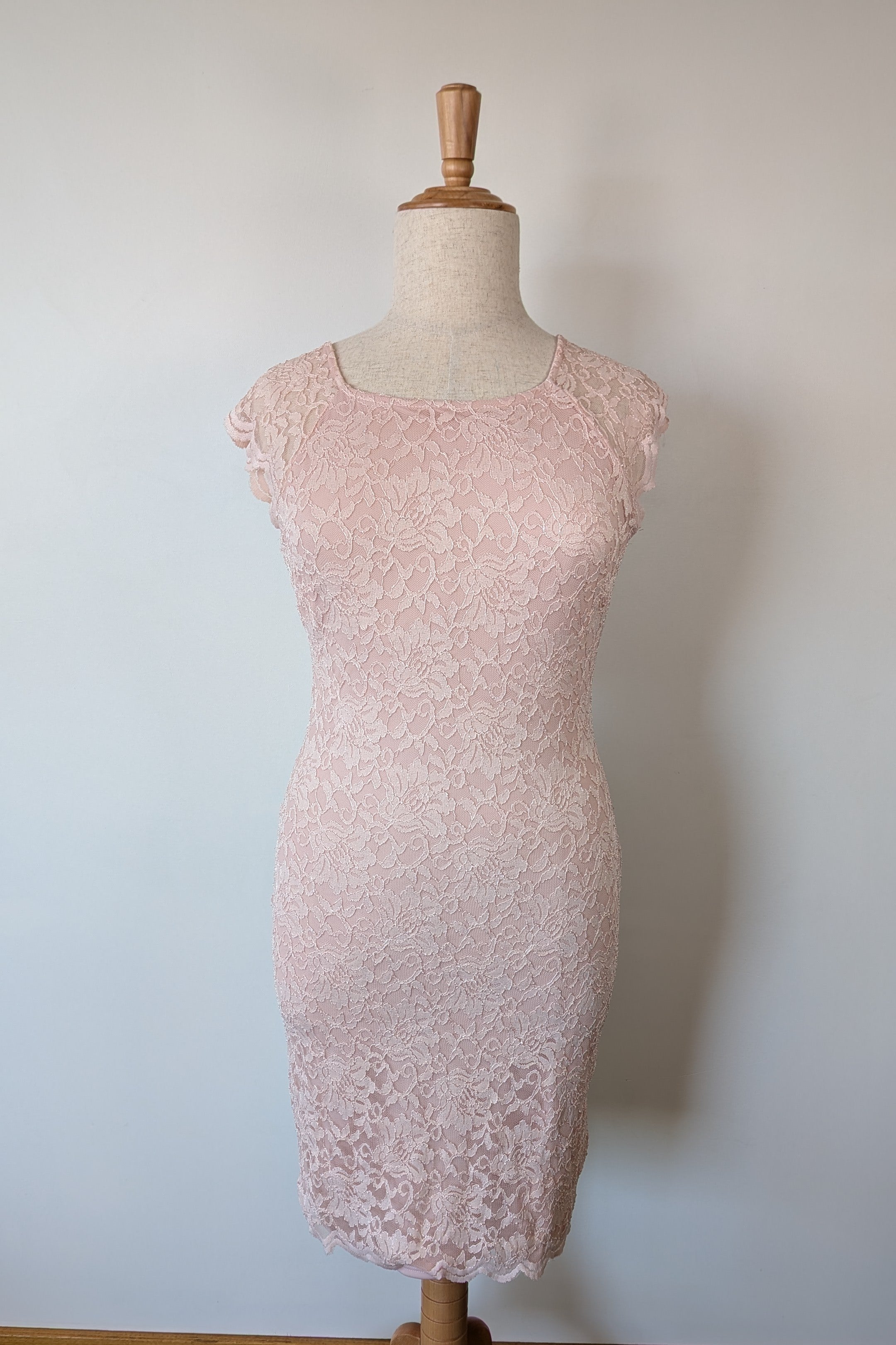 Liz Jordan Marielle Lace Blush Dress Size 16 Brand New With Tags RRP $249.99