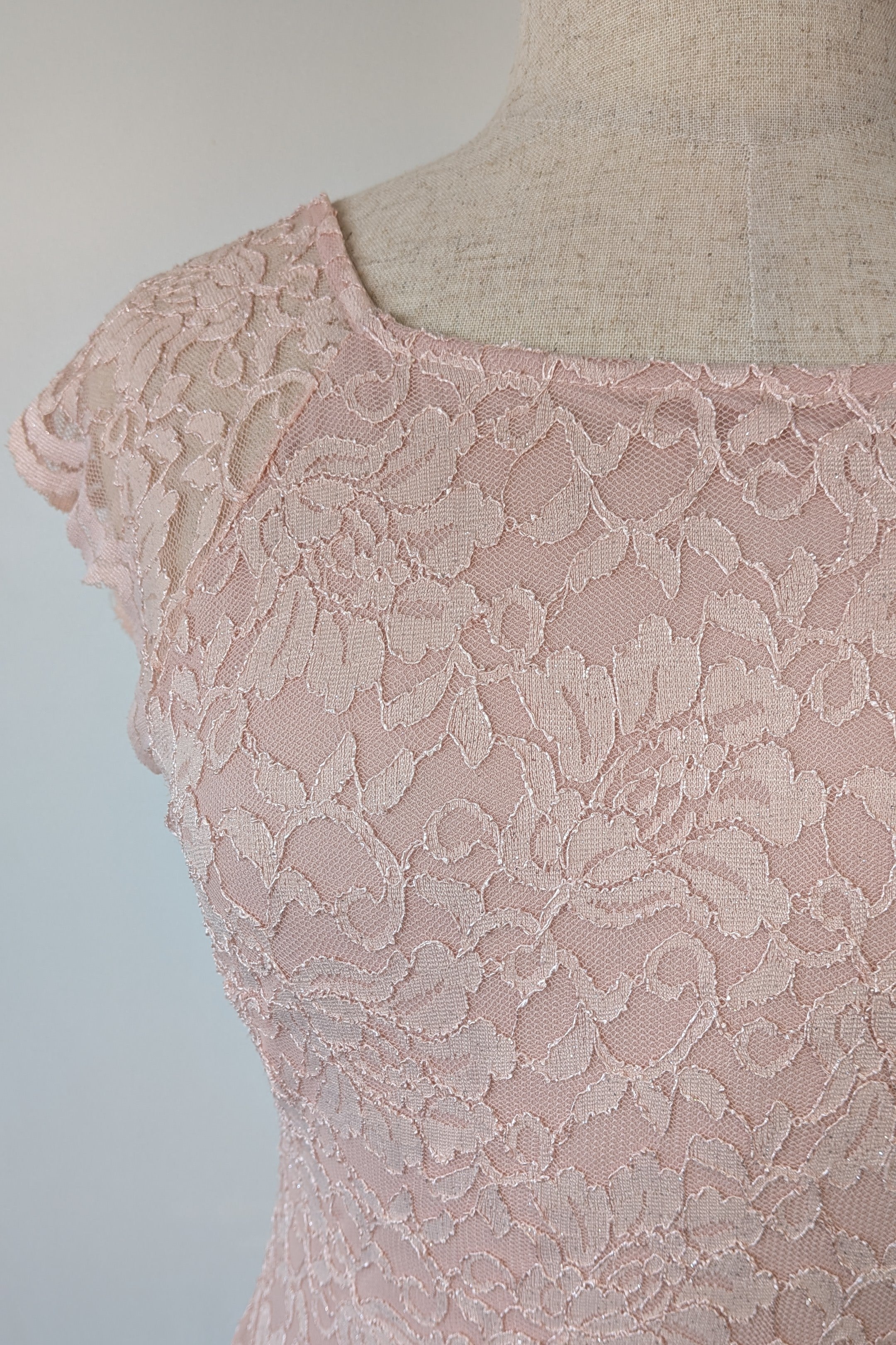 Liz Jordan Marielle Lace Blush Dress Size 16 Brand New With Tags RRP $249.99