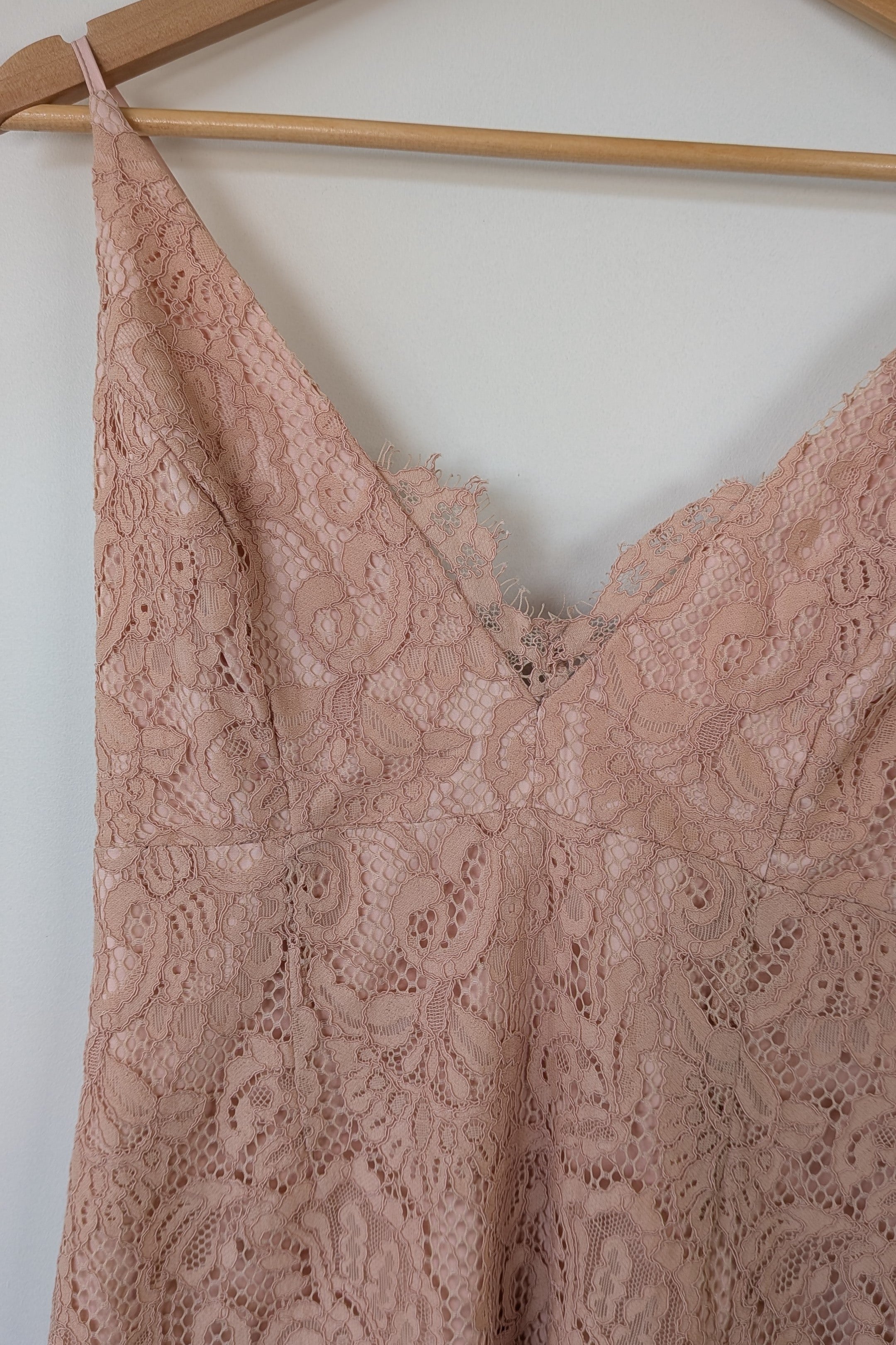 Bardot Rose Pencil Lace Dress Size XS Brand New With Tags