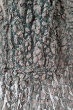 Vintage Y2K Envy Me Green Bouclé Weave Tunic One Size