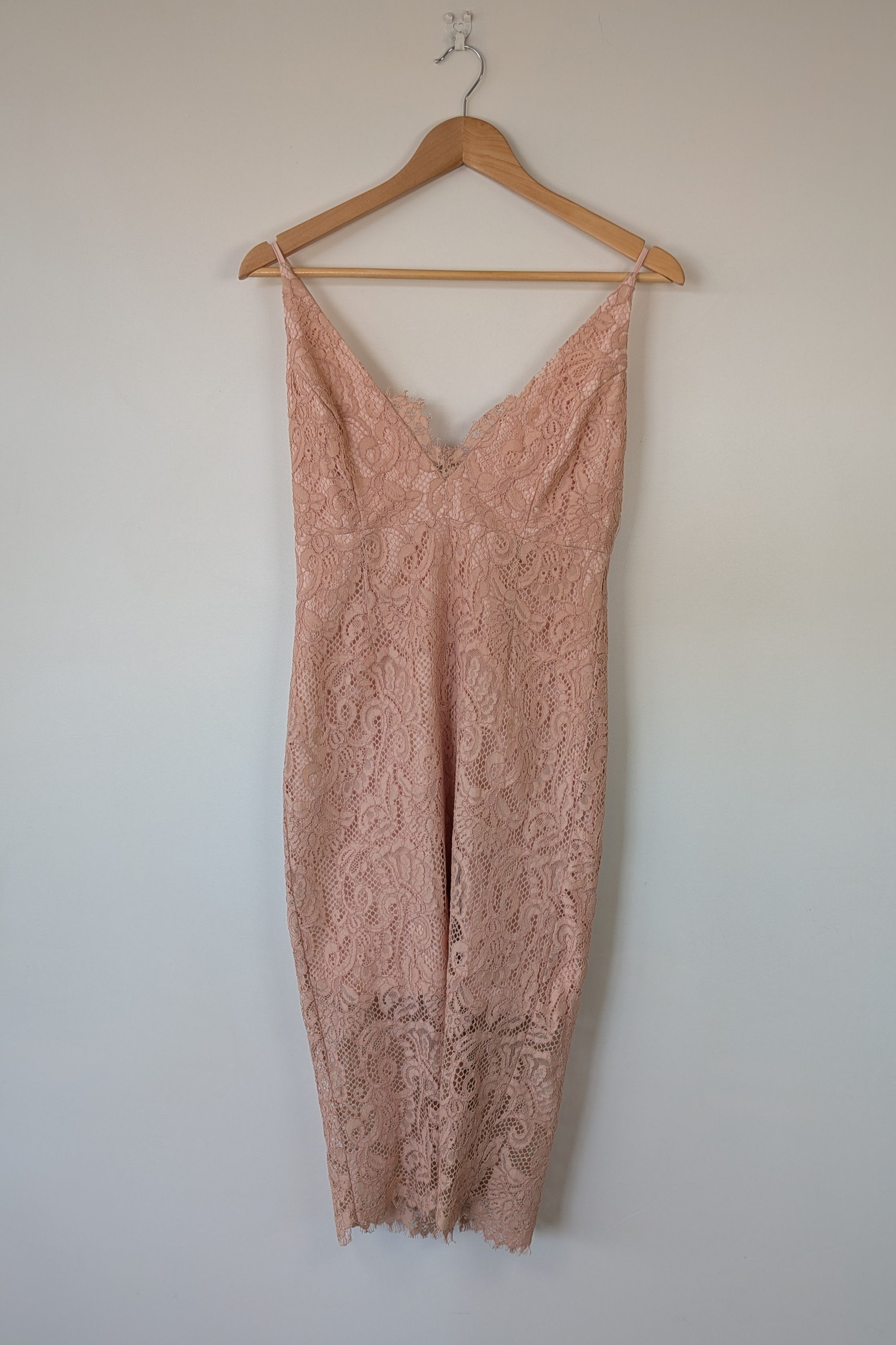 Bardot Rose Pencil Lace Dress Size XS Brand New With Tags